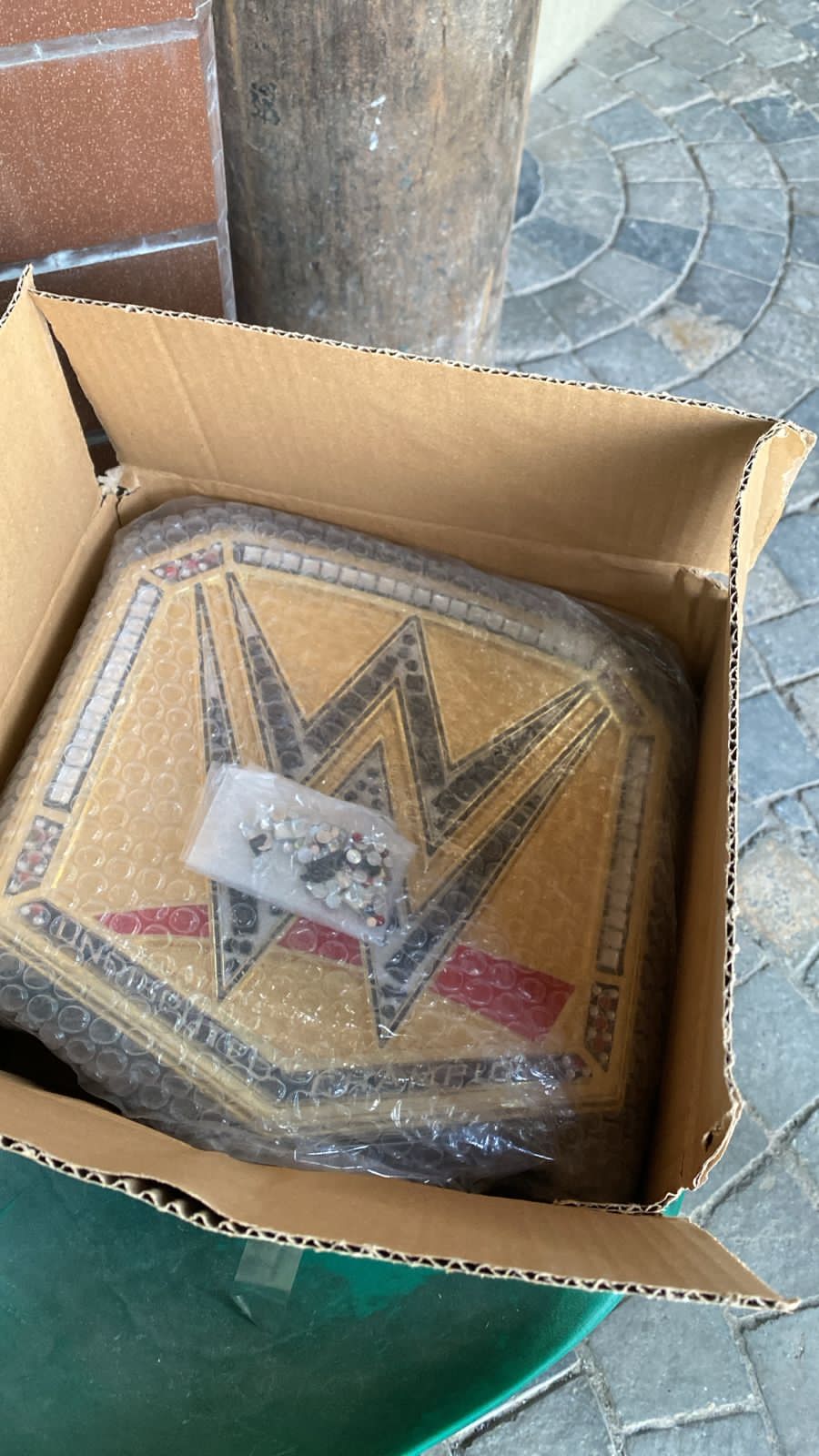 Championship belt display shot — gold plates on premium leather